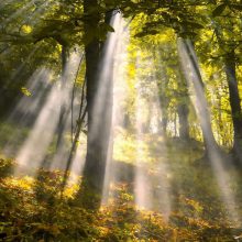 Wild Camping Paladini